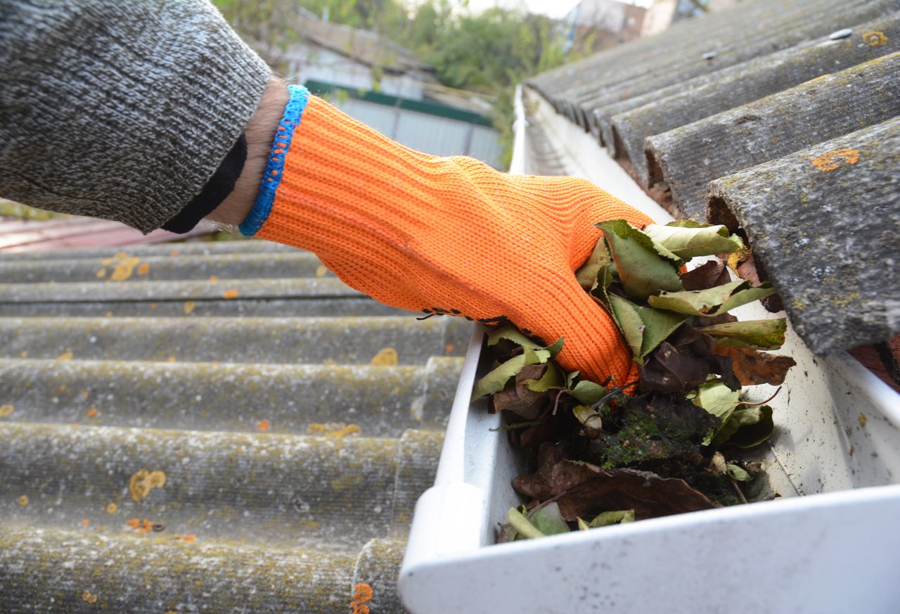 Person wearing gloves cleaning leaves out of the gutters of their house