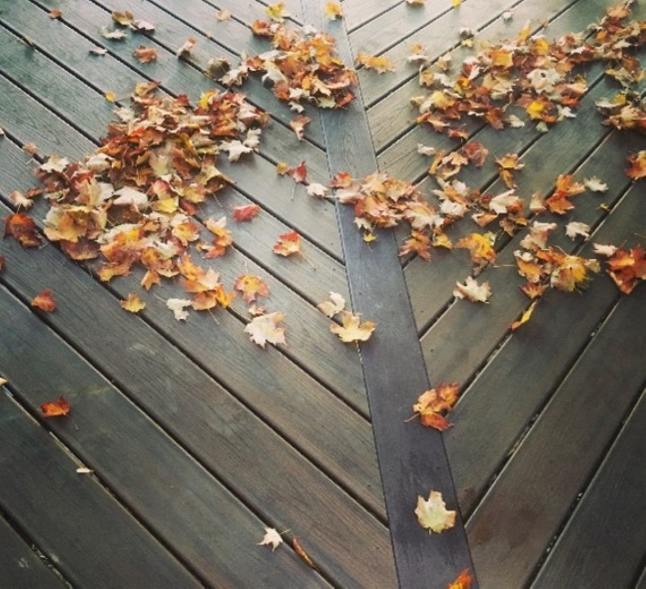 Fall leaves on a Trex deck