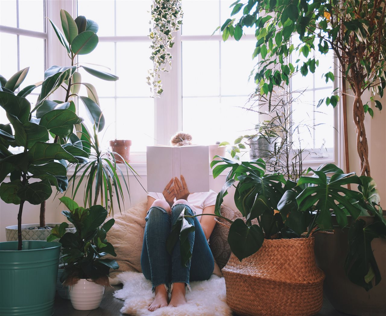 Woman reading a book while surronded by plants in living room.