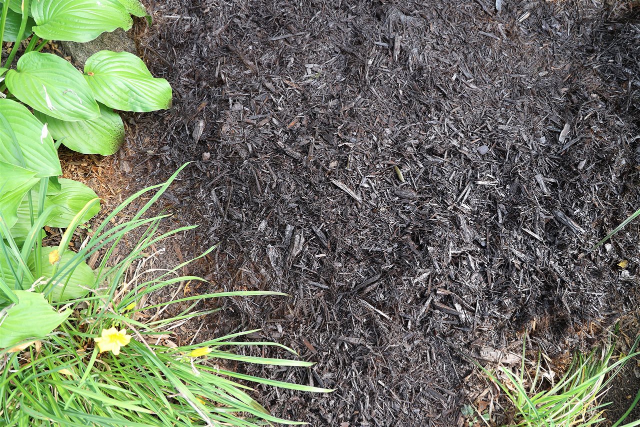 After image of land scaping with application of NorthRock Mulch Renew<sup><sup><sup><sup><sup><sup><sup><sup><sup><sup>&reg;</sup></sup></sup></sup></sup></sup></sup></sup></sup></sup>, from TCC Materials” width=”600″ border=”0″></div>
<div class=